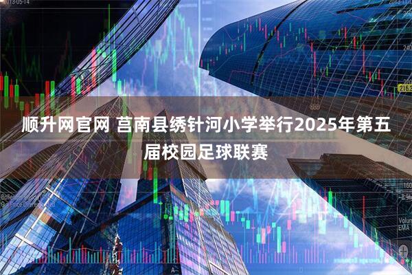 顺升网官网 莒南县绣针河小学举行2025年第五届校园足球联赛