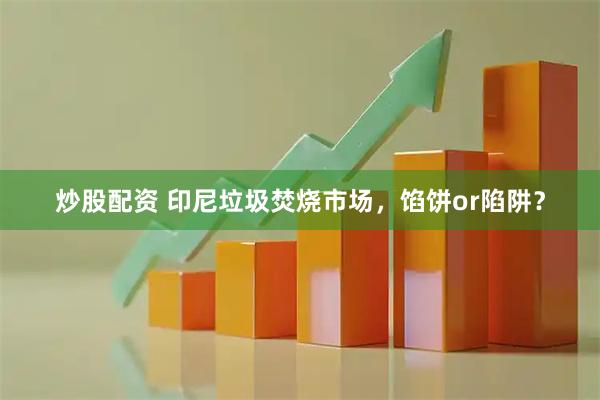 炒股配资 印尼垃圾焚烧市场，馅饼or陷阱？
