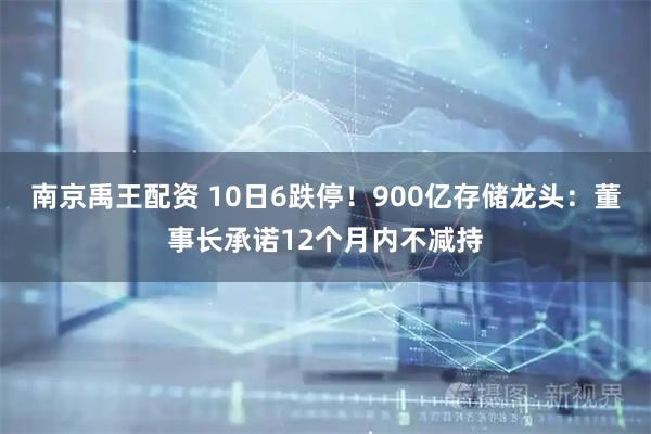南京禹王配资 10日6跌停！900亿存储龙头：董事长承诺12个月内不减持